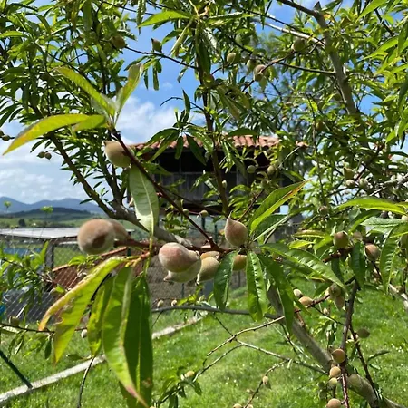 Alvares De Corvera منزل للإقامة El Ponton