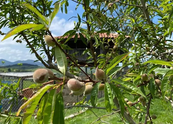 Alvares De Corvera Habitación en casa particular El Ponton